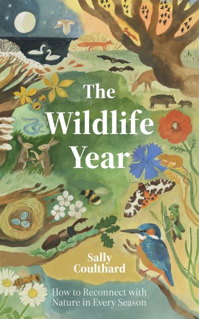 Cover image for this book
