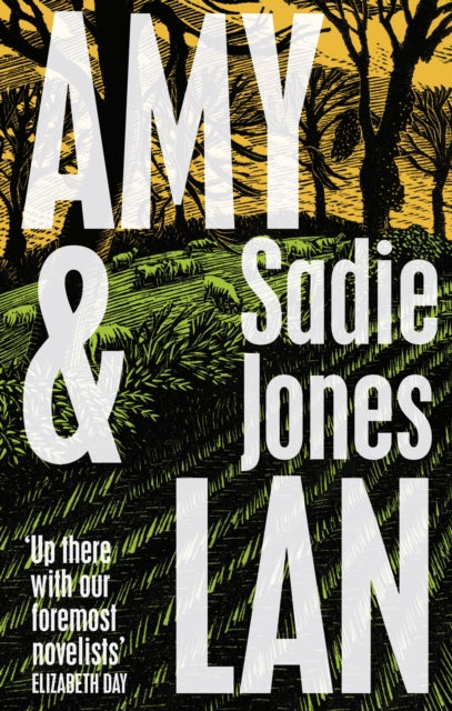 Amy and Lan : The Enchanting New Novel by the No. 1 Bestselling Author of The Outcast-9781784744816