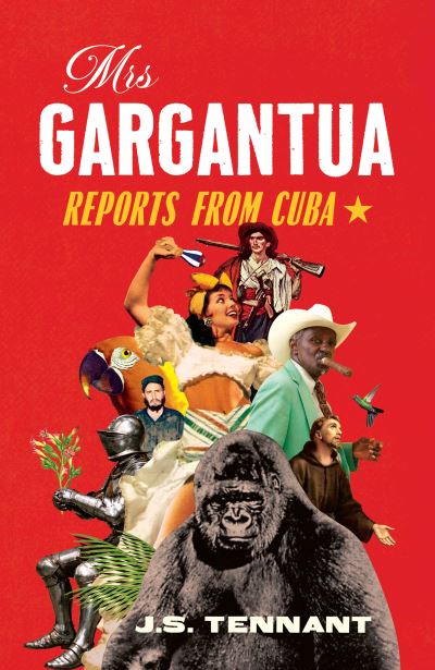 Cover image for this book