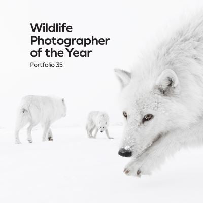 Cover image for this book