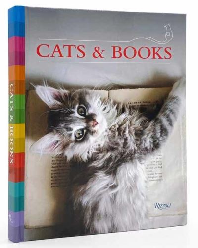 Cover image for this book
