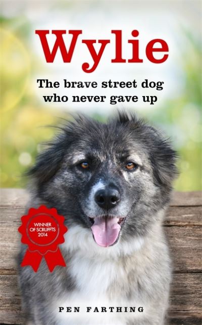 Cover image for this book