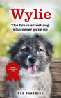 Cover image for this book