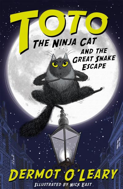 Cover image for this book