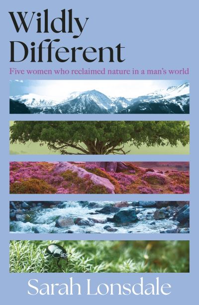 Cover image for this book