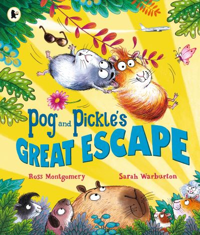 Cover image for this book