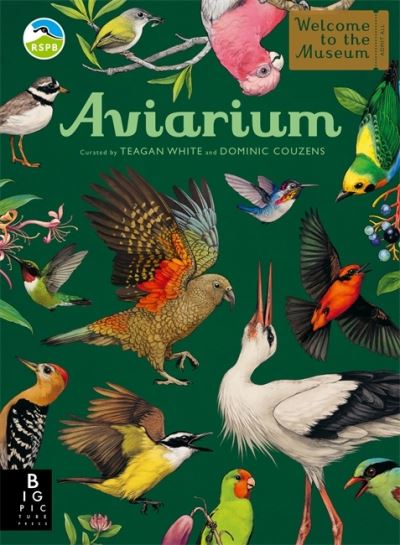 Cover image for this book