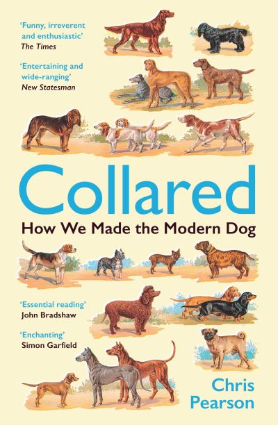Cover image for this book