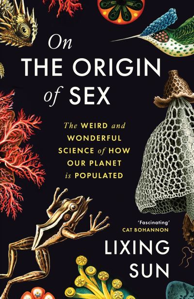Cover image for this book