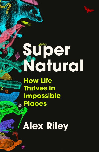 Cover image for this book