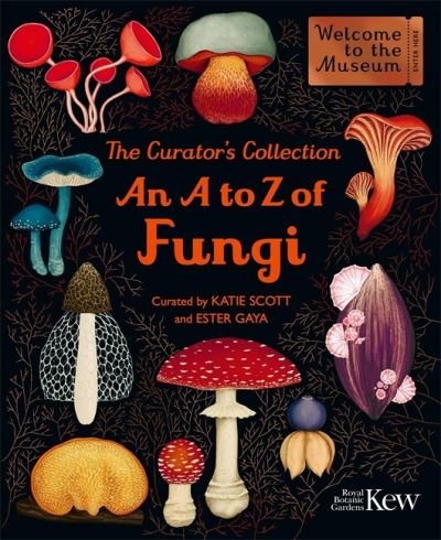 Cover image for this book