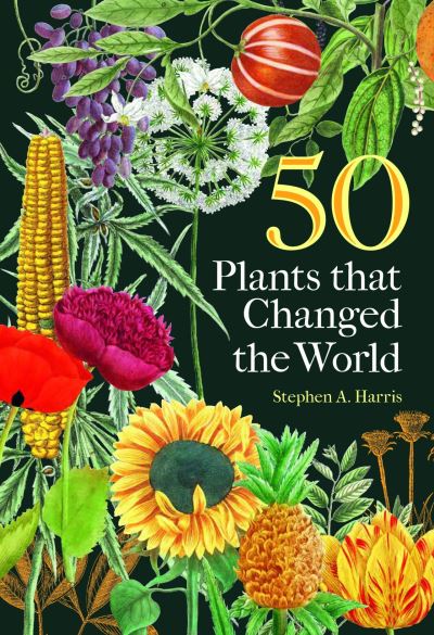 Cover image for this book