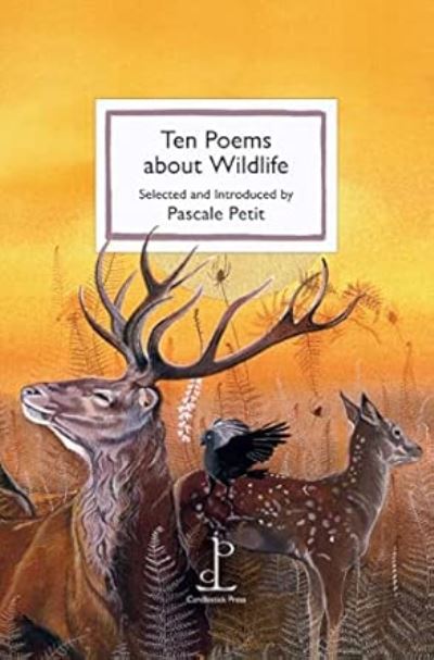 Cover image for this book