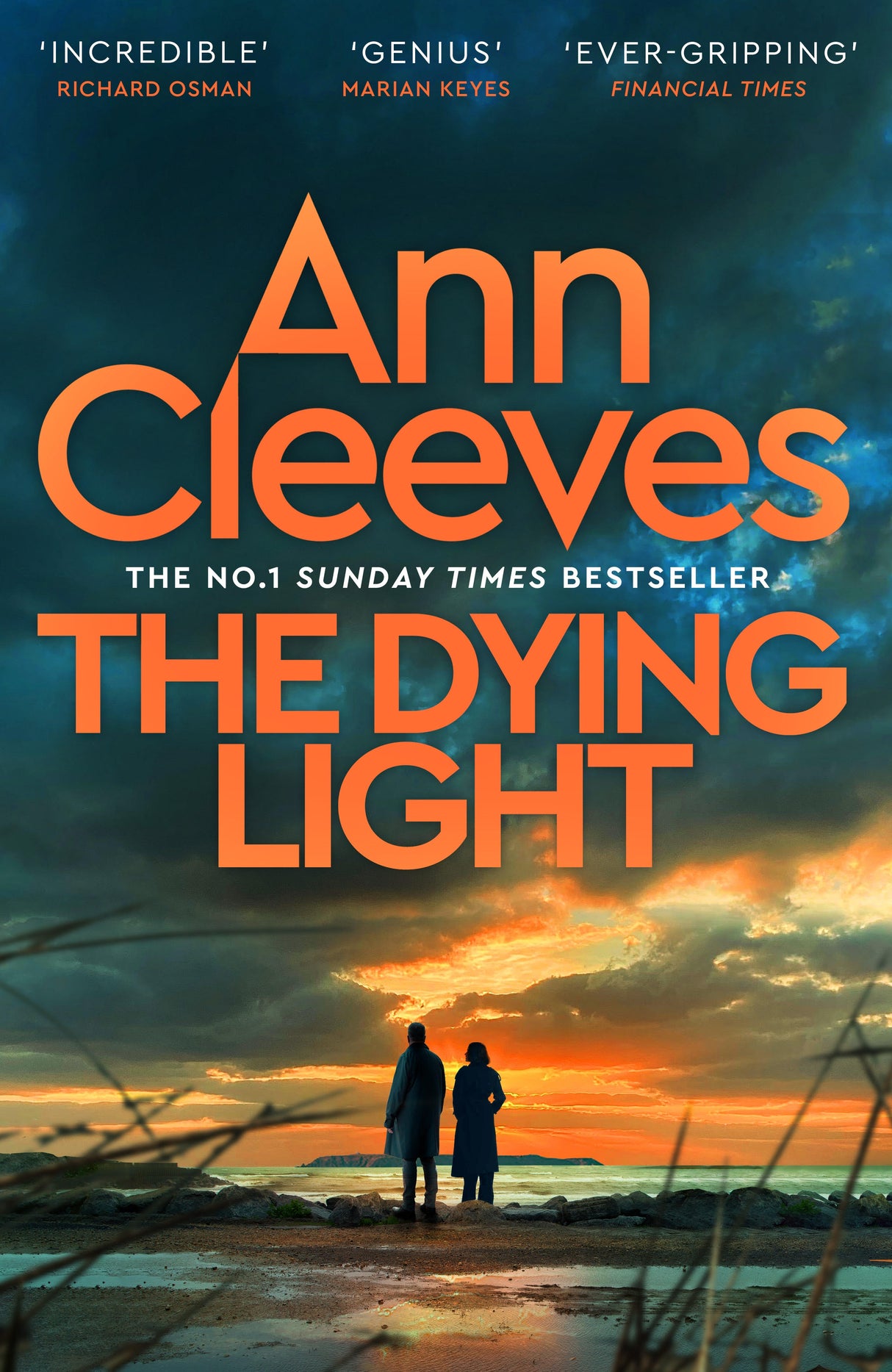 SHERBORNE EVENT | The Dying Light - Ann Cleeves in conversation