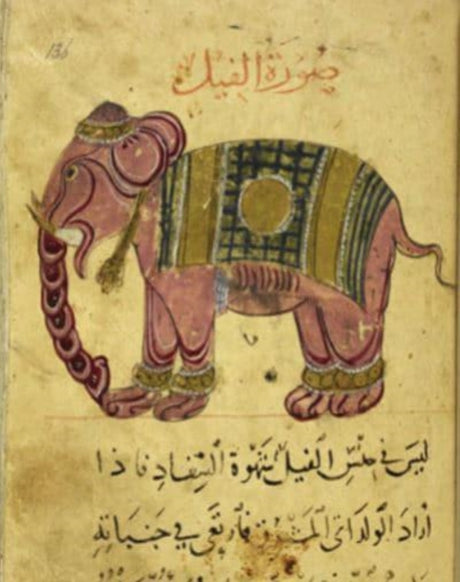 Animals : The Book of the British Library Exhibition-9780712354332