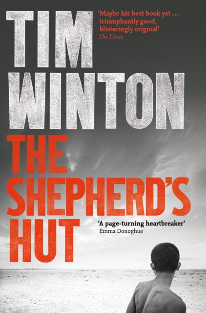 SUMMER READS The Shepherd's Hut-9781509863846