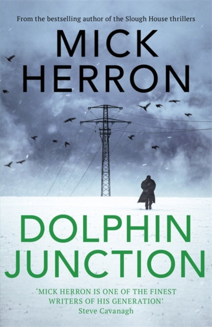 Dolphin Junction-9781529371260